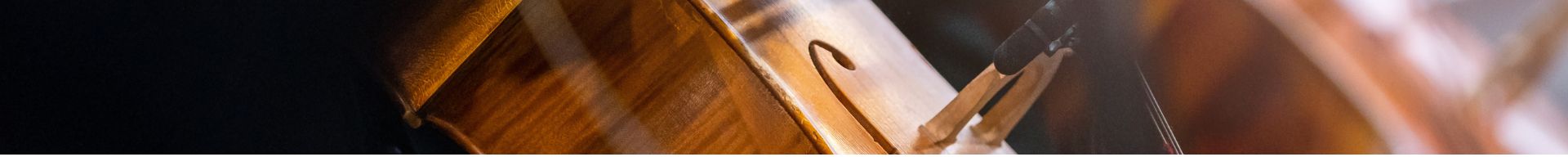 COMPONENTI E MANUTENZIONE VIOLONCELLO