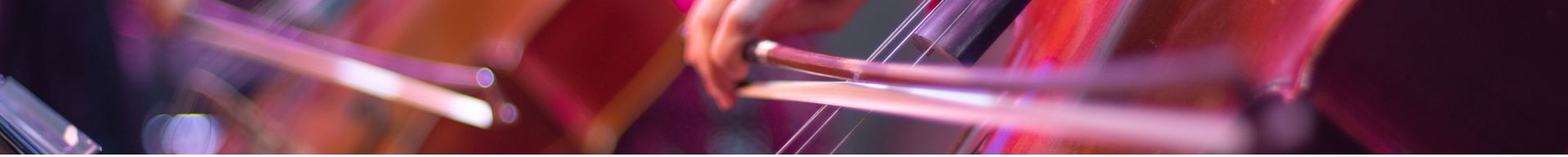 ACCESSORI PER VIOLONCELLI