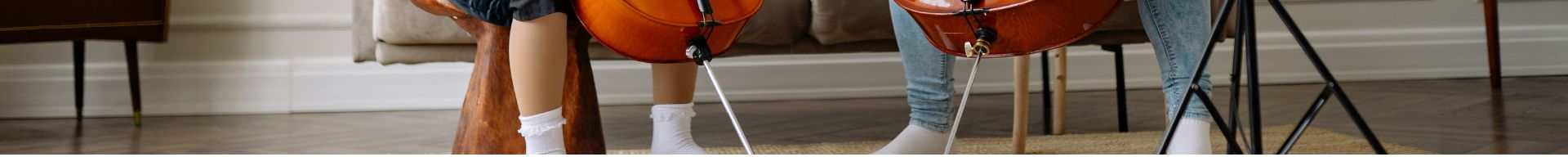 PUNTALI E POGGIAPUNTALI VIOLONCELLO