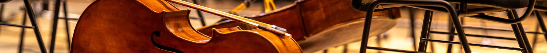 SUPPORTI VIOLONCELLO