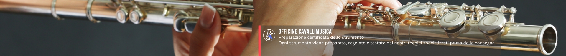 ACCESSORI FLAUTO TRAVERSO E OTTAVINO