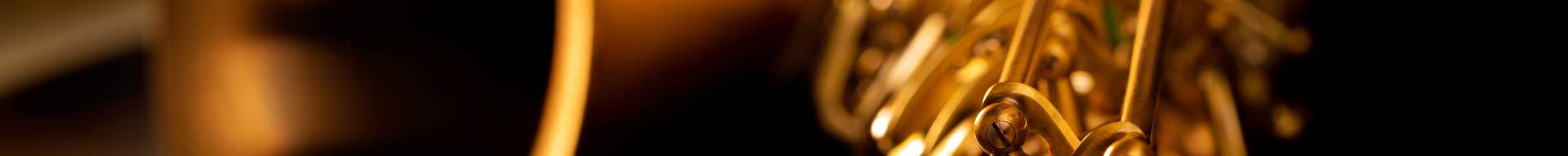 CUSTODIE SAX CONTRALTO