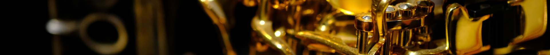 CUSTODIE SAX BARITONO