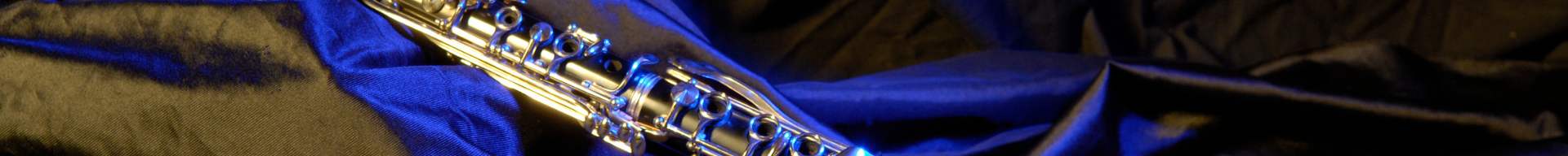 CUSTODIE CLARINETTO