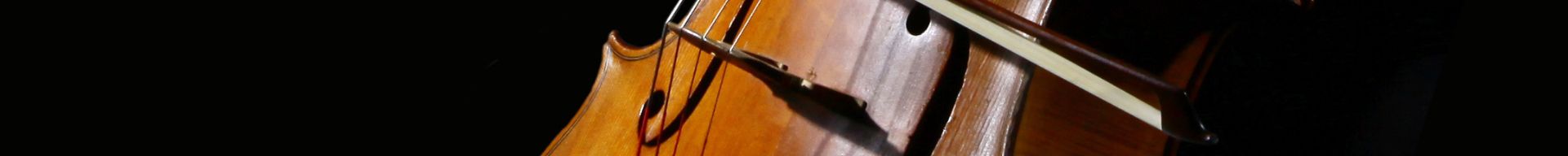 VIOLONCELLI