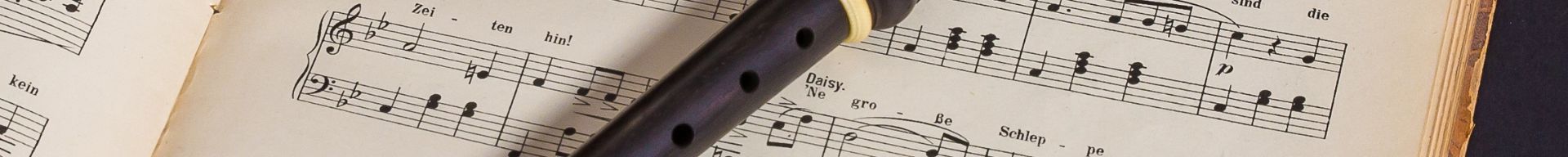 FLAUTI DOLCI E MELODICHE
