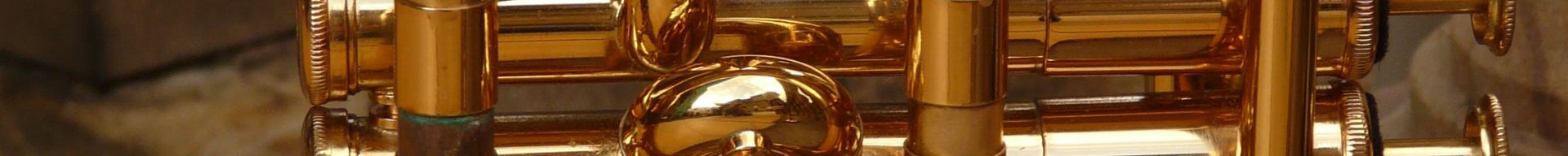 FLICORNI CONTRALTO E ACCESSORI