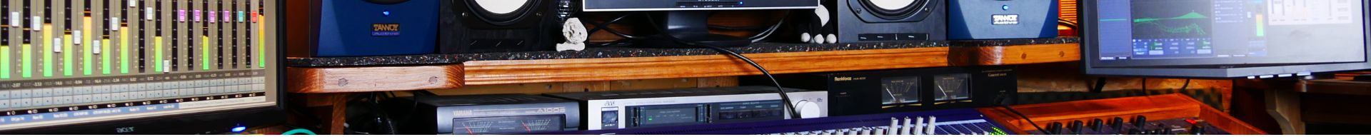SCHEDE AUDIO THUNDERBOLT