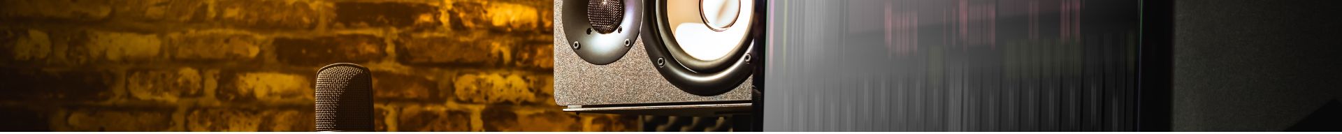 MONITOR DA STUDIO
