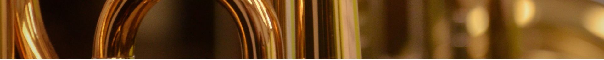 ACCESSORI TROMBONE