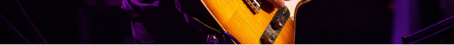 ACCESSORI VARI CHITARRA