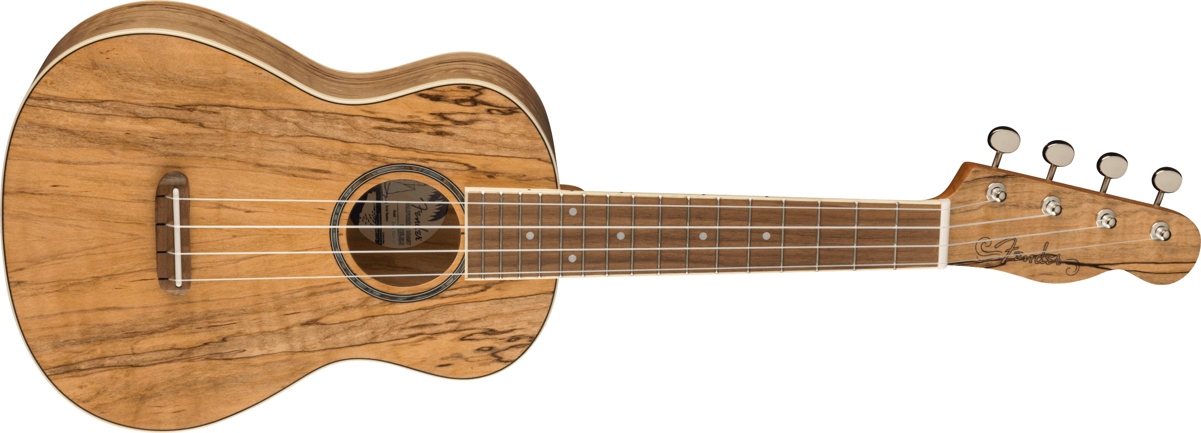 Fender Zuma Exotic natural spalted maple Ukulele concerto