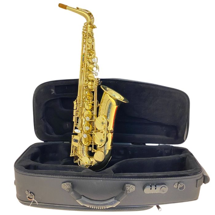 SELMER VINTAGE SA80 SUPER ACTION II ALTO SAX USATO main product photo