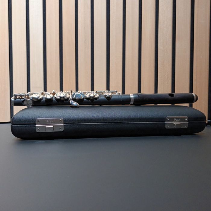 OTTAVINO PEARL 165E CON CUSTODIA USATO main product photo