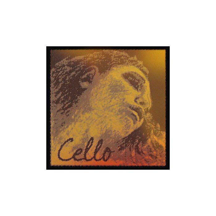 Corde Violoncello 4/4 Pirastro Evah Pirazzi Gold tensione media main product photo