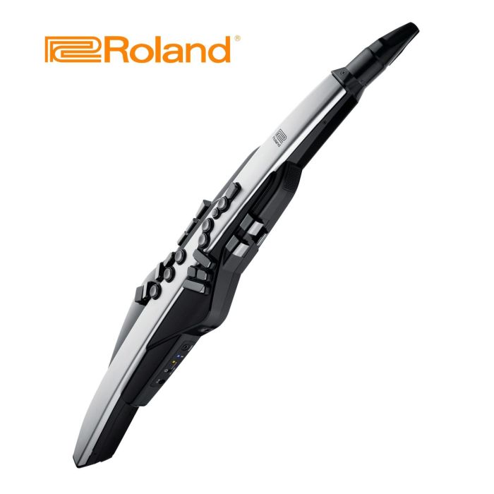 Strumento a fiato digitale Roland Aerophone AE-30 Aerophone Pro main product photo
