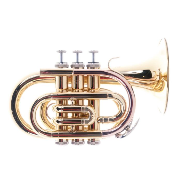 Tromba Pocket J.Michael TR350PL laccata main product photo