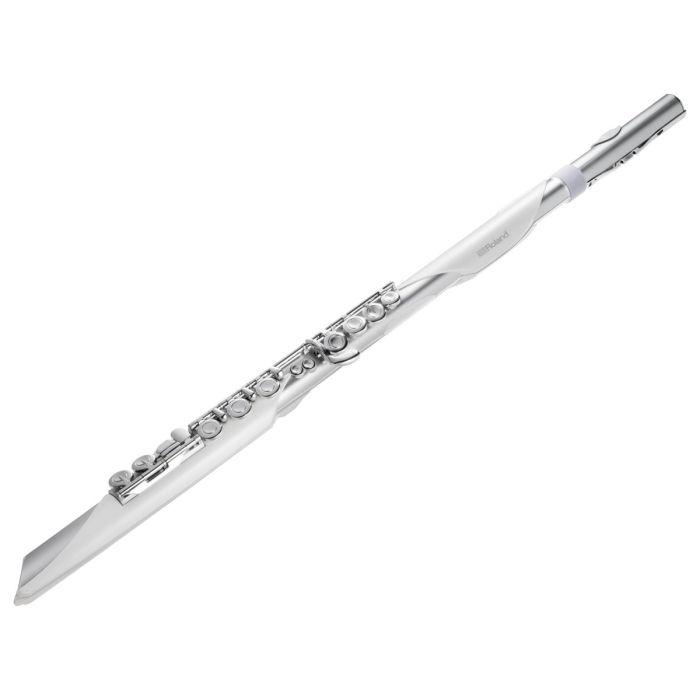 Roland Aerophone AE-BRISA Strumento a fiato digitale main product photo