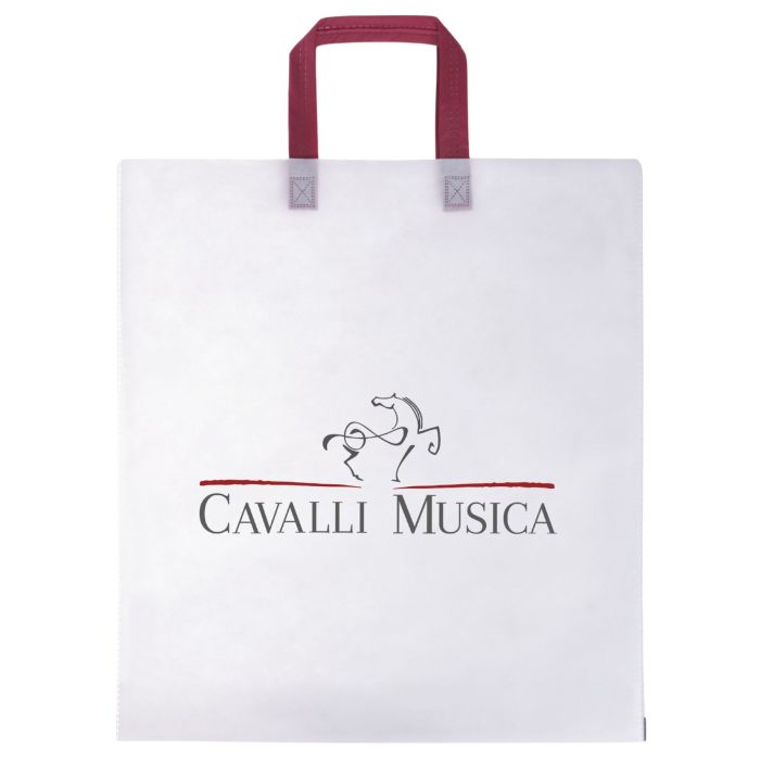 Borsa regalo Cavalli Musica 44x48cm main product photo