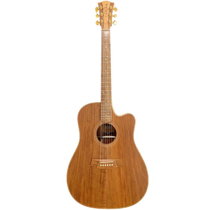 Cole Clark FL2EC-BLBL blackwood con custodia main product photo