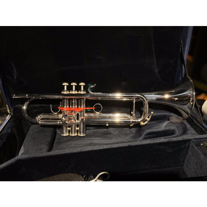 B&S 3137/2LR-S Challenger II argentata main product photo