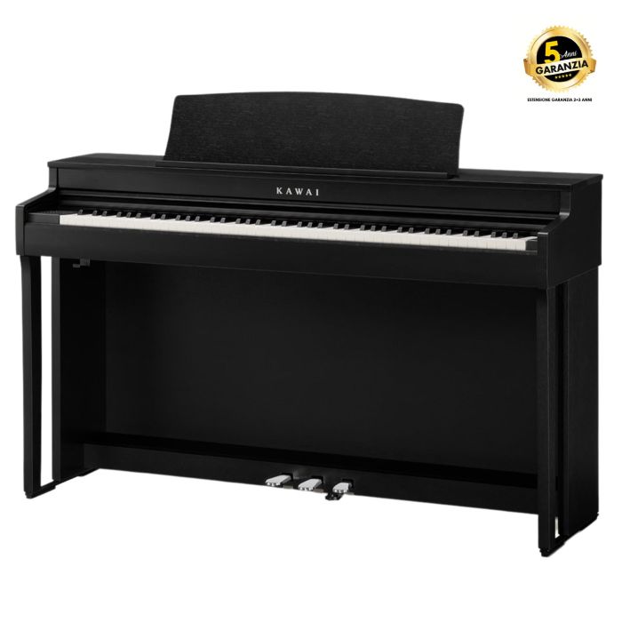 Kawai CN-301-B Premium Satin Black main product photo