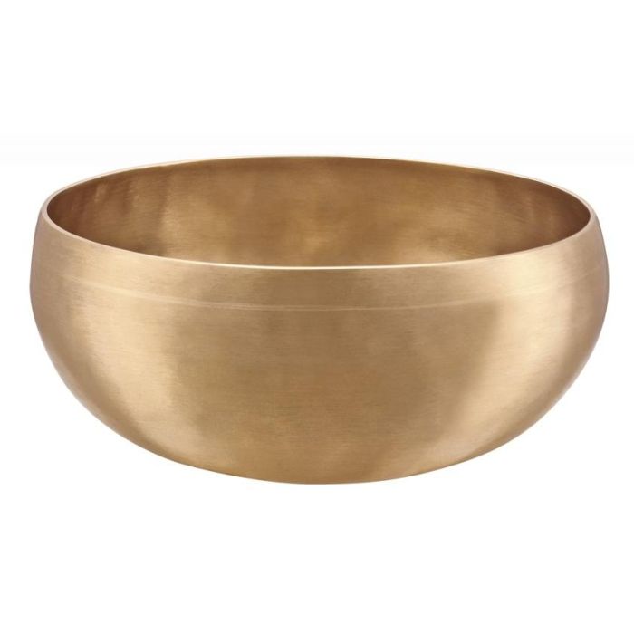 Meinl Sonic Energy SB-C-1000 main product photo