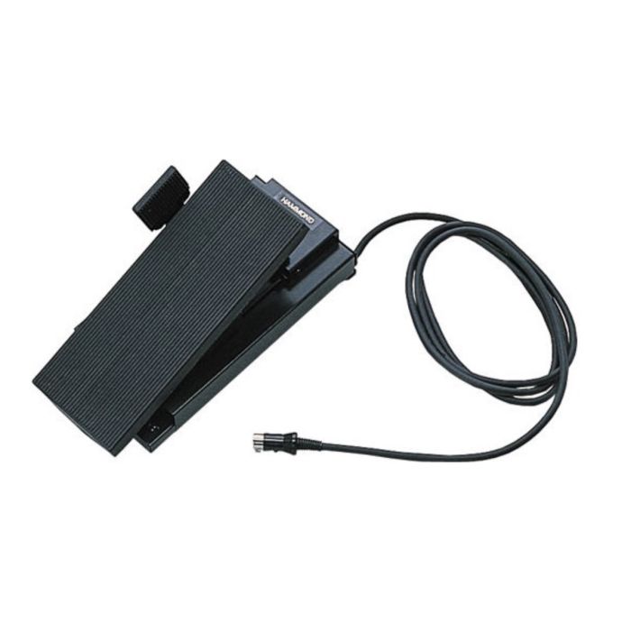 Hammond EXP Expression pedal main product photo