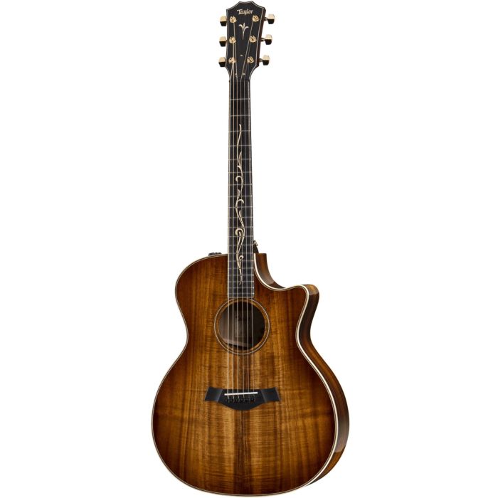 Taylor K24CE V-Class custodia main product photo