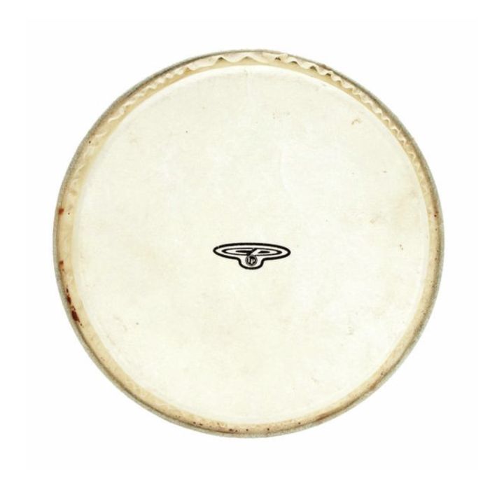 LP CP221B Pelle Bongo 7 1/4" main product photo