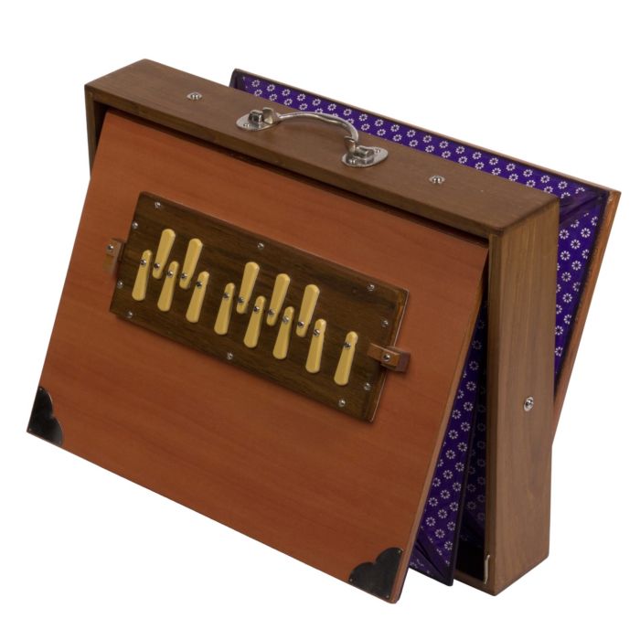 AfroTon Shrutibox Pro cromatico Maschile main product photo