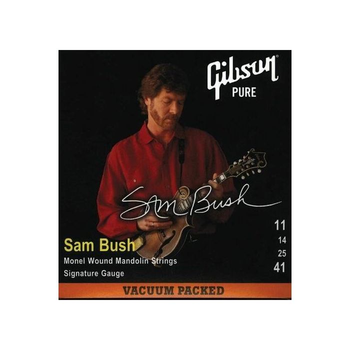 Corde Mandolino Gibson main product photo