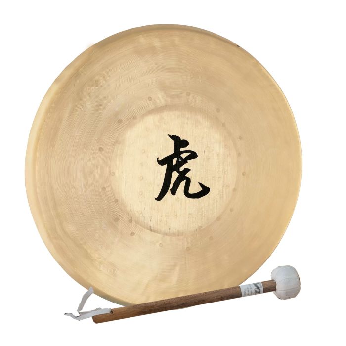 Meinl Sonic Energy 13" Tiger Gong main product photo