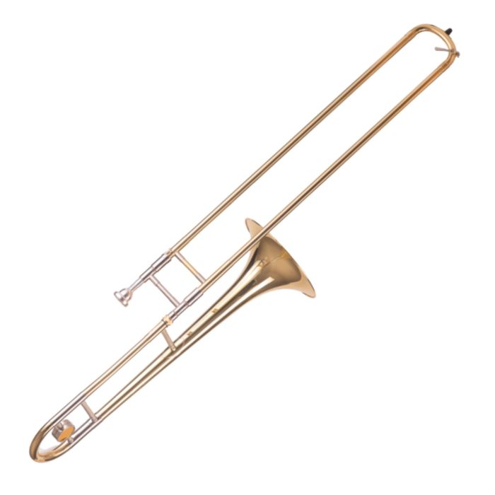 Amadeus TT811L main product photo