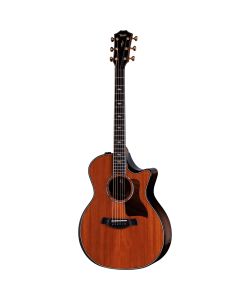 TAYLOR Builder's Edition 814ce 50th Anniversary Ltd con custodia
