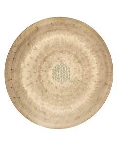 Meinl Sonic Energy WGFOL12