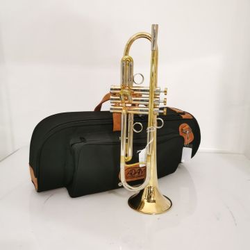 TROMBA ADAMS LT RAWBRASS CON CUSTODIA USATA