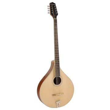 Richwood RIBZ-40 Bouzouki Irlandese