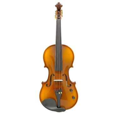 Violino Elettrico 4/4 Reghin con meccanica