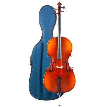 Violoncello 4/4 Reghin