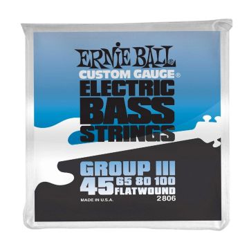 Ernie Ball 2806 Group III Flatwound Basso 45-100