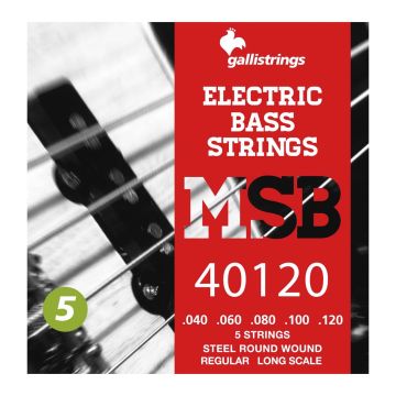 Corde basso Gallistring MSB 40120 5 corde regular 40-120