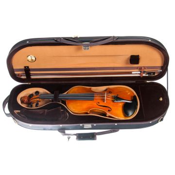 Guarneri del gesù violino 4/4 a fondo unico abete massello