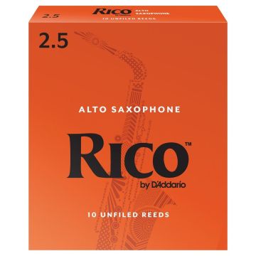 D'Addario Rico  n.2,5 10pz Sax Contralto