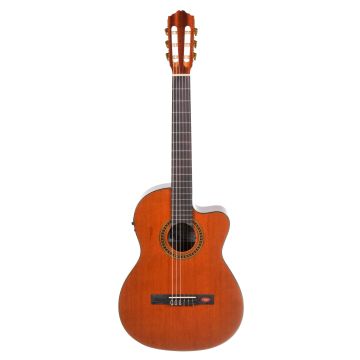 Salvador Cortez CC10CE chitarra classica elettrificata natur
