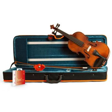 Violino 4/4 Domus Musica Allievo II