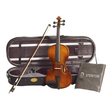 Violino 4/4 con custodia e arco pronto all'uso