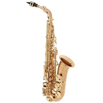 Sax Alto Yanagisawa A-WO20 Elite laccato con custodia 