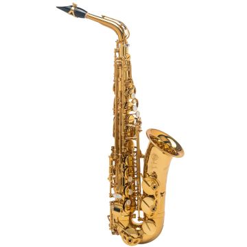 Sax Alto Selmer Signature laccato