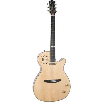 Godin Multiac Steel